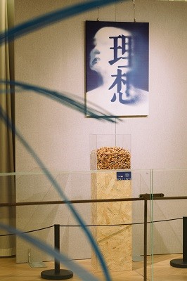 概雅建筑-时间轴